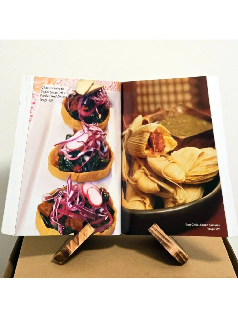 Vegan & Vegetarian Cookbook Lot 3 | Viva Vegan! + Student's Vegetarian Cookbook+